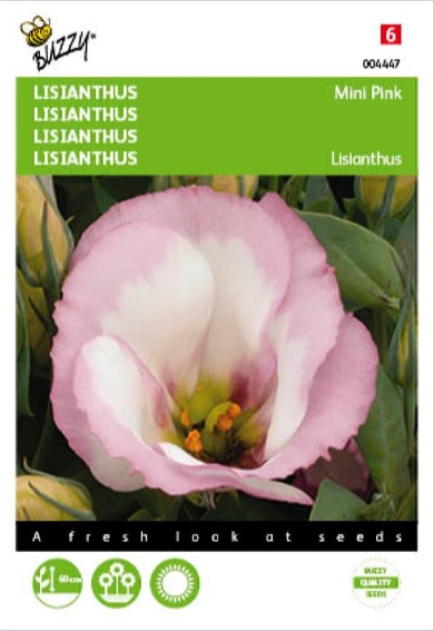 Lisianthus mini pink (Eustoma) 25 seeds